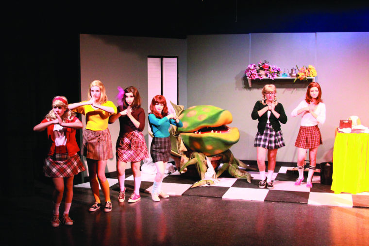 ACT presents Little Shop of Horrors